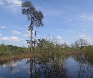 30-04-2023 - Herzele (17)