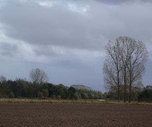 29-10-2023 - Wetteren (8)