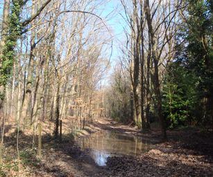 26-02-2023 - Zoersel (6)