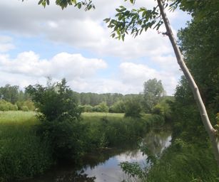 21-05-2022 Tongeren (18)