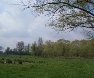 Dendermonde - 01-05-2021 (8)