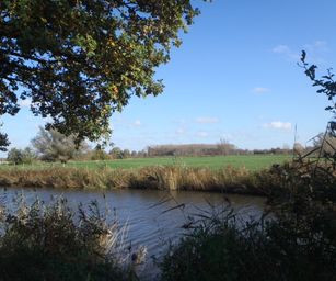 Wetteren - 31-10-2020 (24)
