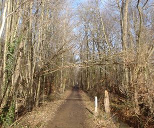 09-01-2022 - Hulsthout  (18)