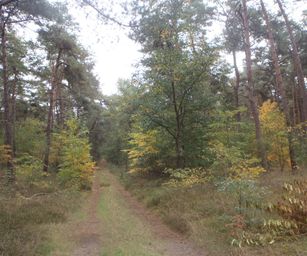 13-10-2022 Lommel (18)