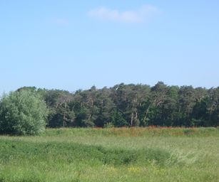 Haacht - 06-06-2021 (9)
