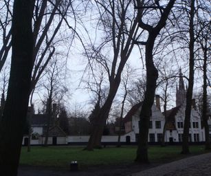 Brugge - 24-01-2021 (4)