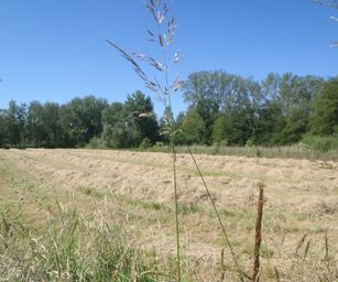 Heindonk - 13-06-2021 (19)