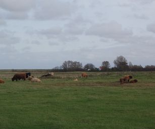 Brugge Knokke - 24-10-2020 (16)