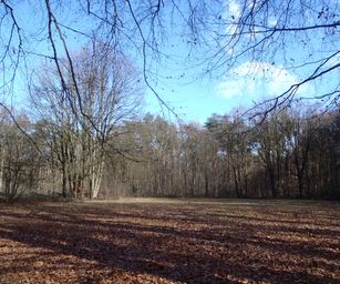 26-02-2023 - Zoersel (2)