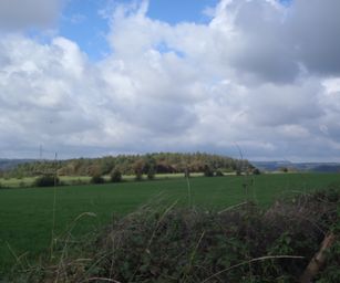 Hamoir - 11-10-2020 (7)