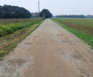 Paal - 18-10-2020 (12)