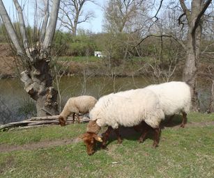 12-04-2022 - Sint-Joris (23)