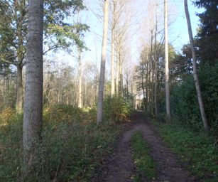 Bornem - 07-11-2020 (28)