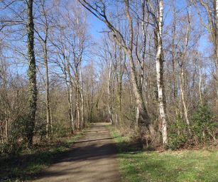 03-04-2023 - Diepenbeek (4)