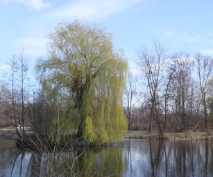 Kessel-Lo - 28-03-2021 (31)