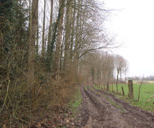 04-02-2023 - Borsbeke (19)