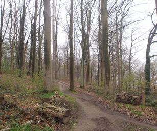 16-04-2023 - Winksele (28)