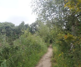 Schelle - 29-08-2021 (11)