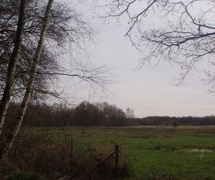 28-03-2023 - Meldert (2)