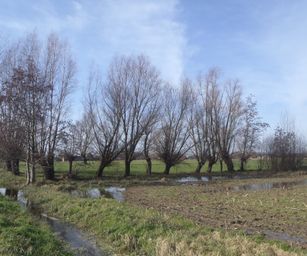 Bottelare 20-02-2021 (8)