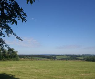 03-07-2022 Bullingen (15)