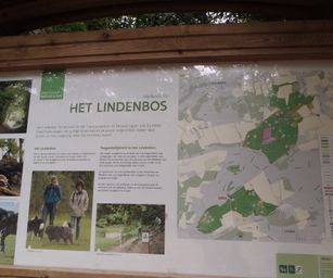 Holsbeek - 02-08-2020 (26)