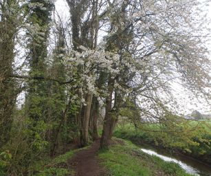 16-04-2023 - Winksele (25)
