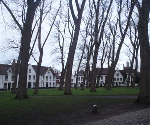Brugge - 24-01-2021 (2)