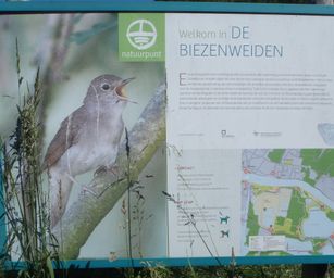 Heindonk - 13-06-2021 (18)
