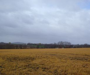25-03-2023 - Buissenal (6)