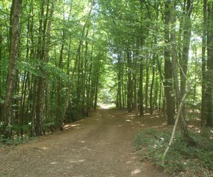 15-05-2022 Brain-le-Comte (33)