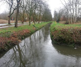 Hemiksem 02-02-2020 (18)