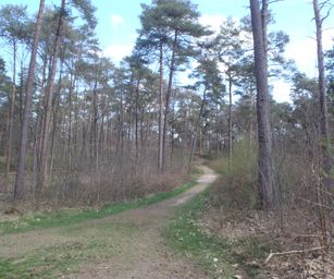 Kasterlee - 17-04-2021 (14)