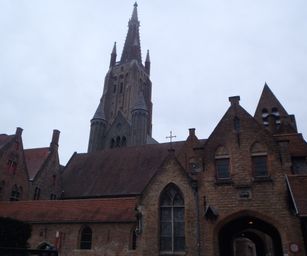 Brugge - 24-01-2021 (9)