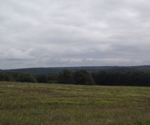 Wanze 11-09-2021 (12)