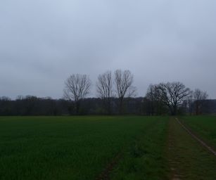 16-04-2023 - Winksele (1)