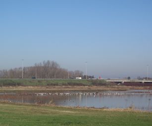 Gentbrugge - 28-11-2020 (28)