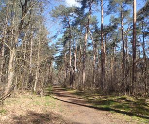 03-04-2023 - Diepenbeek (10)