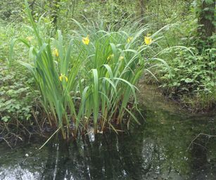 25-05-2023 - Herselt (10)