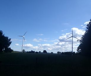 03-07-2022 Bullingen (23)