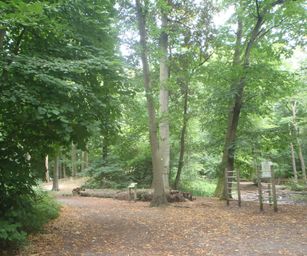 28-07-2022 Brugge 2 (21)