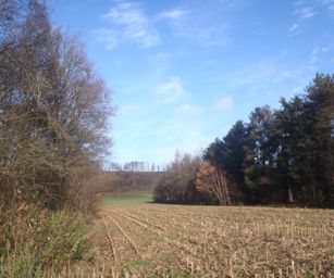 Wezemaal - 20-12-2020 (11)