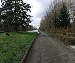 Péronnes-lez-Antoing - 01-03-2020 (14)