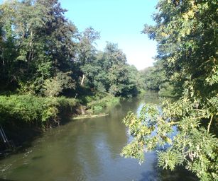 Diest  - 05-09-2020 (3)