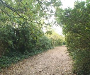 Brugge Knokke - 24-10-2020 (10)