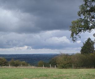 Hamoir - 11-10-2020 (12)