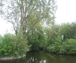Ieper - 13-05-2021 (14)