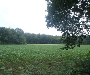 Oud Heverlee - 27-06-2021 (19)