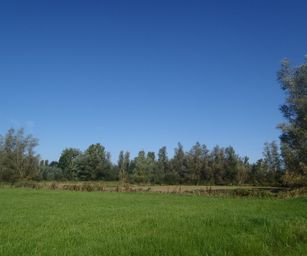 07-09-2023 - Overmere (2)