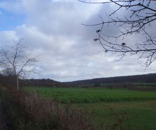 Wezemaal - 20-12-2020 (21)